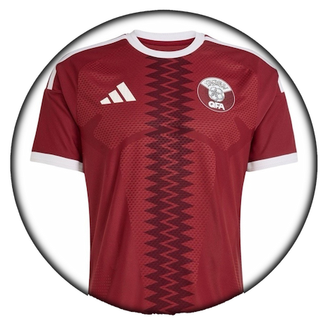 foto de equipo para Catar